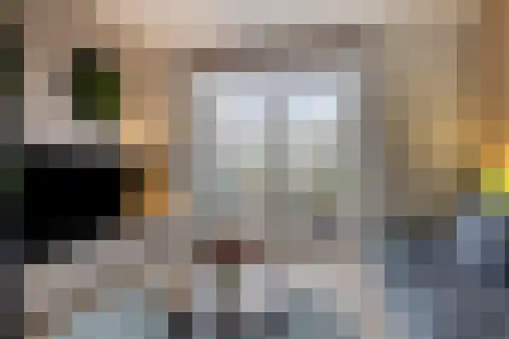 Schonauwen 36 Roden thumbnail 10