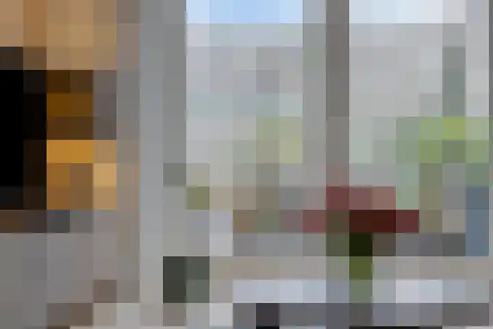 Schonauwen 36 Roden thumbnail 11