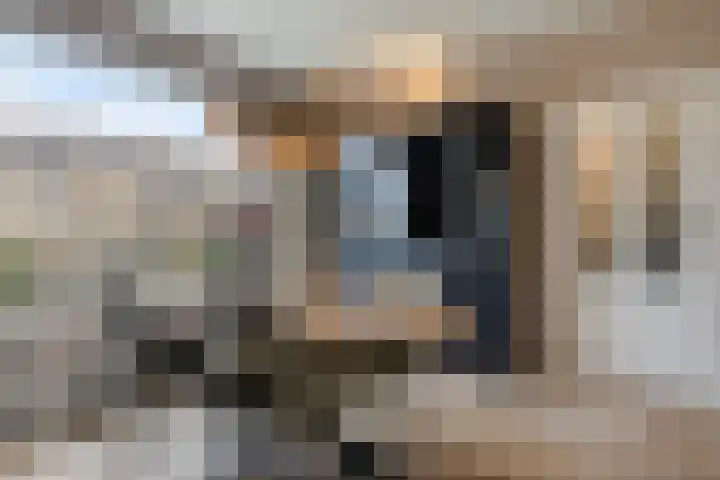 Schonauwen 36 Roden thumbnail 13