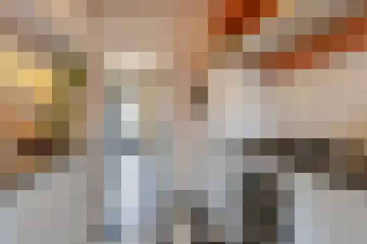 Schonauwen 36 Roden thumbnail 16