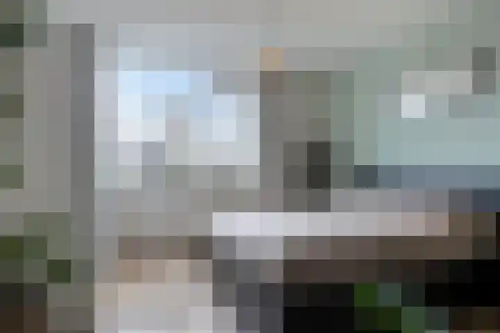 Schonauwen 36 Roden thumbnail 20