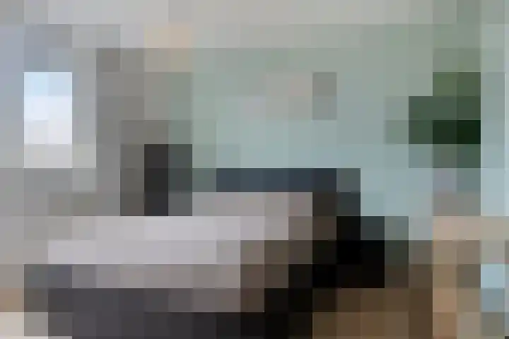 Schonauwen 36 Roden thumbnail 21