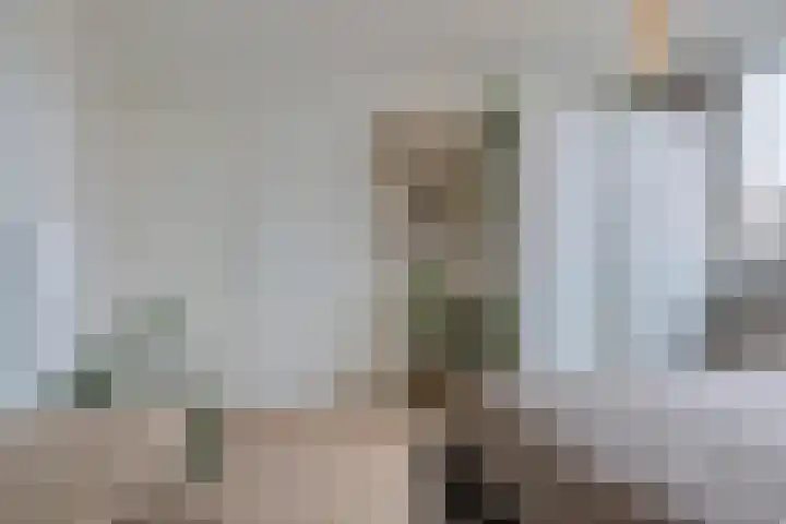 Schonauwen 36 Roden thumbnail 22