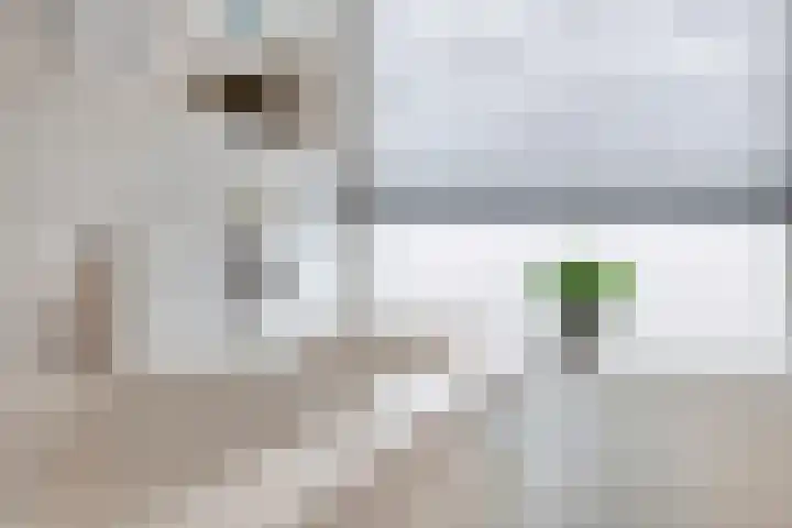 Schonauwen 36 Roden thumbnail 30