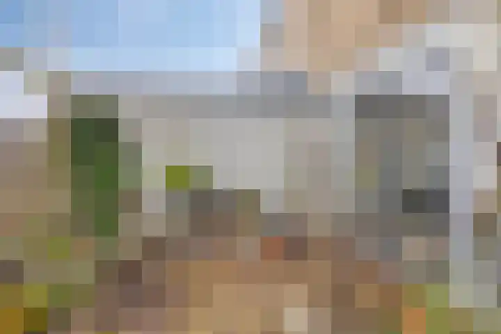 Schonauwen 36 Roden thumbnail 35