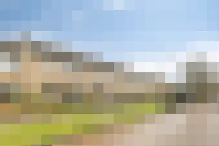 Schonauwen 36 Roden thumbnail 39