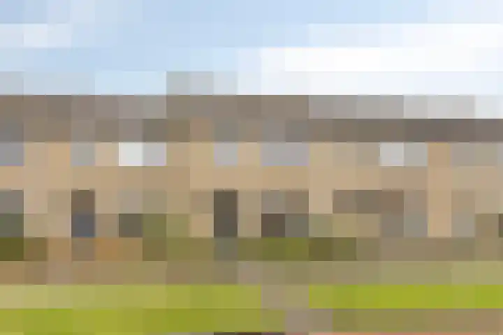 Schonauwen 36 Roden thumbnail 5