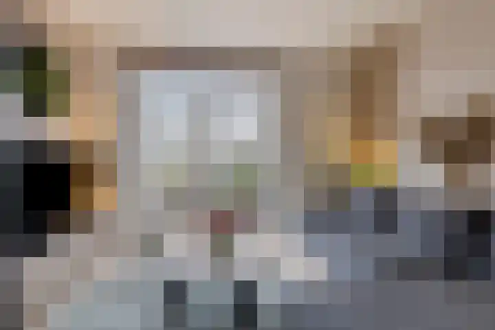 Schonauwen 36 Roden thumbnail 8
