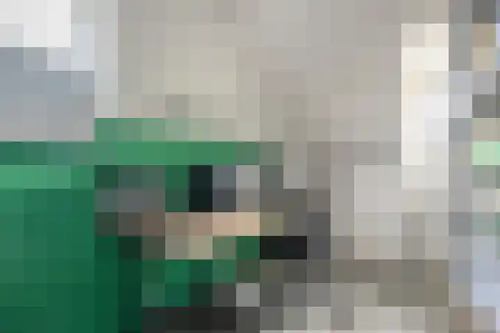 Schonekampstraat 5 Hardenberg thumbnail 25