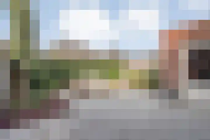 Schonekampstraat 5 Hardenberg thumbnail 30