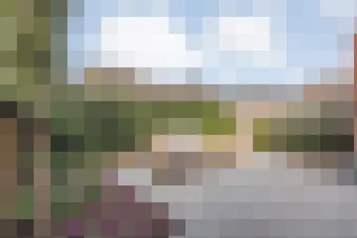 Schonekampstraat 5 Hardenberg thumbnail 35