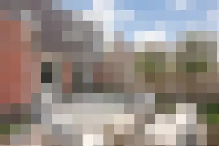 Schonekampstraat 5 Hardenberg thumbnail 36