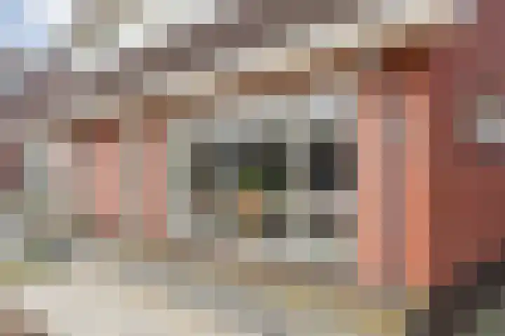Schonekampstraat 5 Hardenberg thumbnail 42