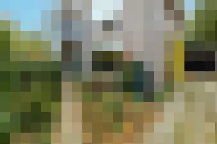 Schonenbergsingel 19 Velp thumbnail 11