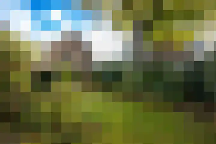 Schonenbergsingel 19 Velp foto 2