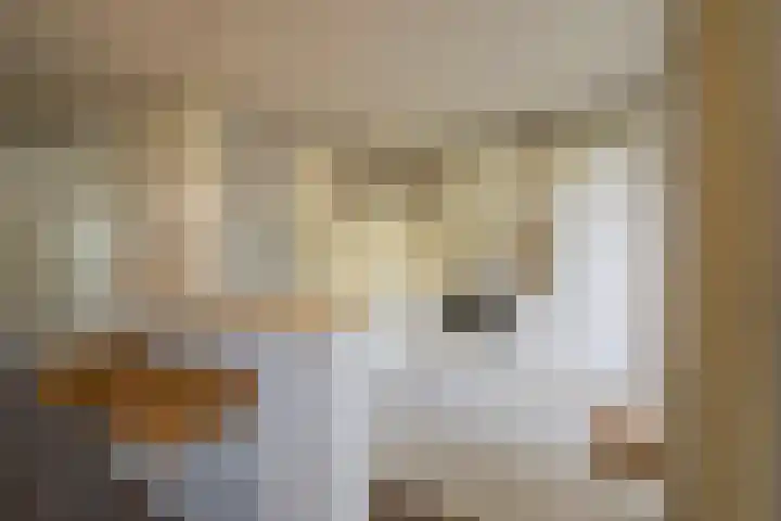 Schonenbergsingel 19 Velp thumbnail 20