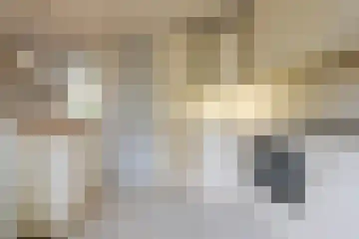 Schonenbergsingel 19 Velp thumbnail 22