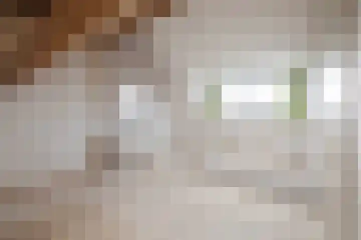 Schonenbergsingel 19 Velp thumbnail 33