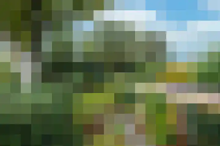 Schonenbergsingel 19 Velp thumbnail 37