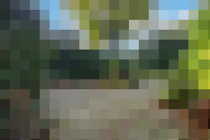 Schonenbergsingel 19 Velp thumbnail 39