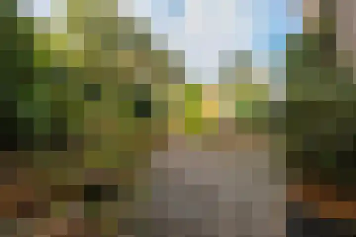 Schonenbergsingel 19 Velp thumbnail 40