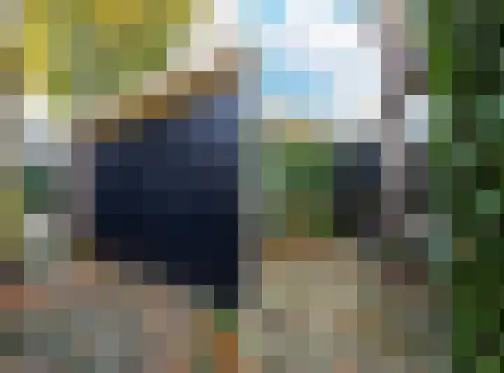 Schonenbergsingel 19 Velp thumbnail 41