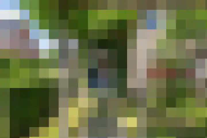 Schonenbergsingel 19 Velp thumbnail 6