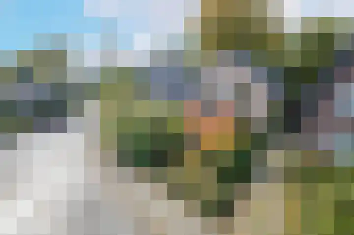 Schonenbergsingel 19 Velp thumbnail 7