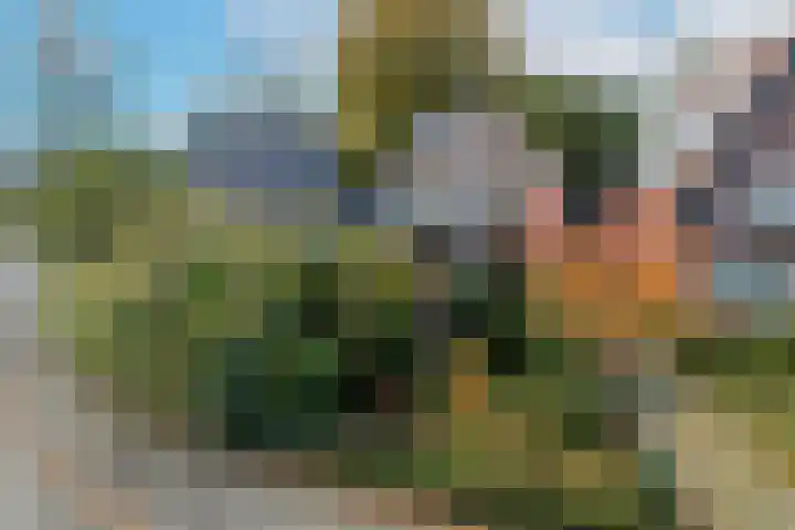 Schonenbergsingel 19 Velp thumbnail 8