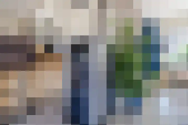 Schoolakkers 15 Echten thumbnail 12