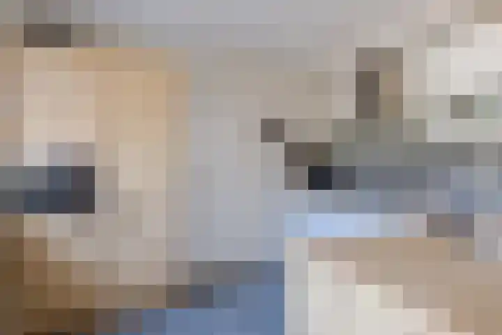 Schoolakkers 15 Echten thumbnail 13
