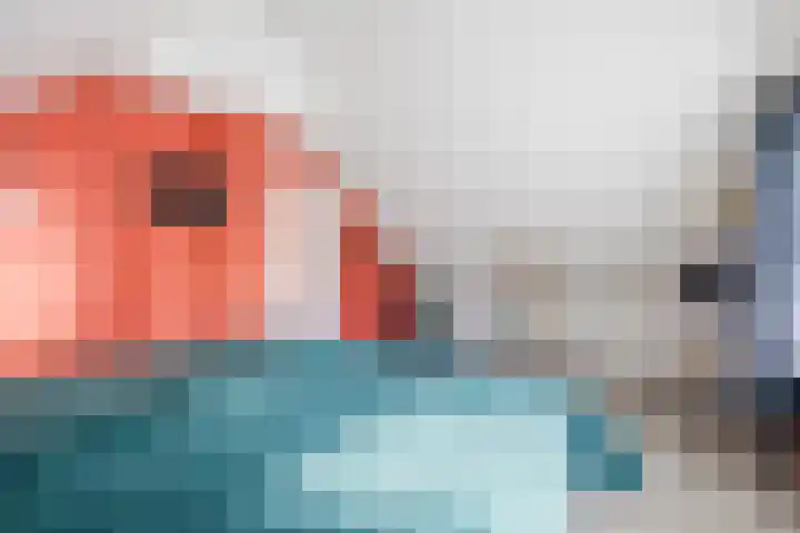 Schoolakkers 15 Echten thumbnail 28