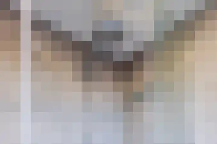 Schoolakkers 15 Echten thumbnail 34