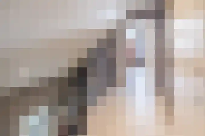 Schoolakkers 15 Echten thumbnail 37