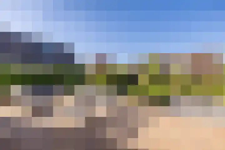 Schoolakkers 15 Echten thumbnail 40