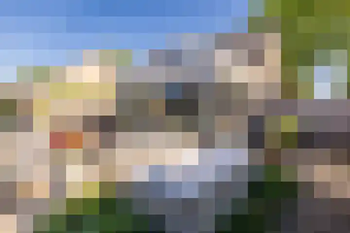 Schoolakkers 15 Echten thumbnail 42