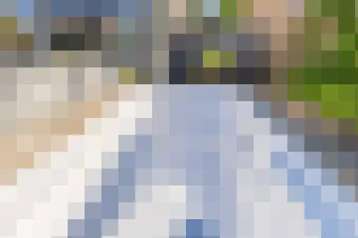 Schoolakkers 15 Echten thumbnail 43