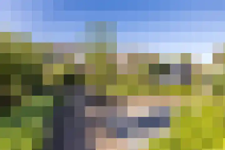 Schoolakkers 15 Echten thumbnail 44