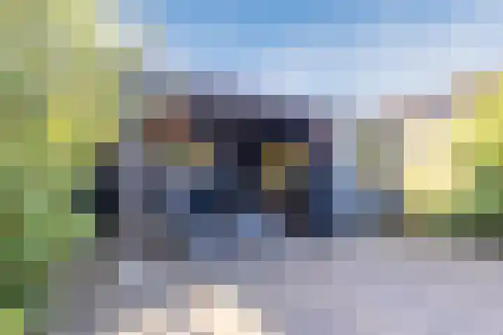 Schoolakkers 15 Echten thumbnail 45