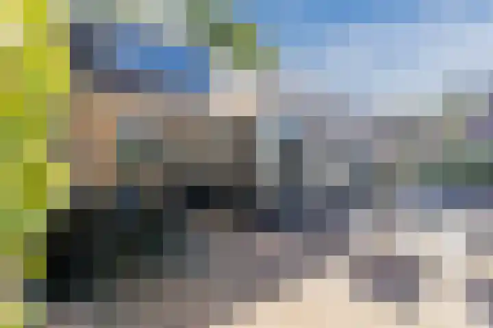 Schoolakkers 15 Echten thumbnail 46