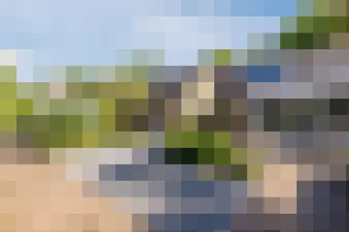 Schoolakkers 15 Echten thumbnail 47