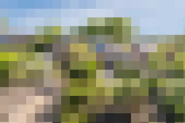 Schoolakkers 15 Echten thumbnail 48