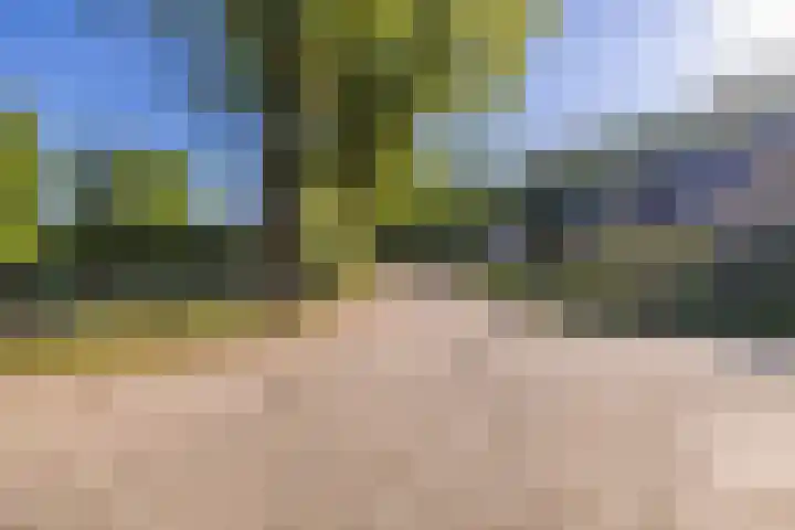 Schoolakkers 15 Echten thumbnail 49