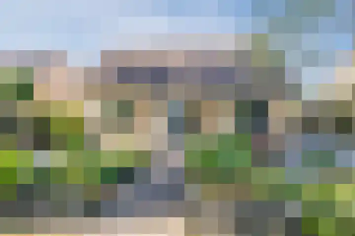 Schoolakkers 15 Echten thumbnail 55