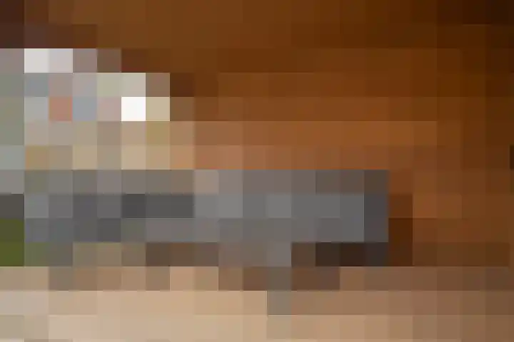 Schoolbosweg 11 Enschede thumbnail 30