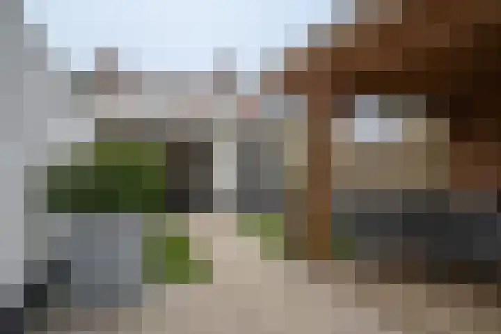 Schoolbosweg 11 Enschede thumbnail 32