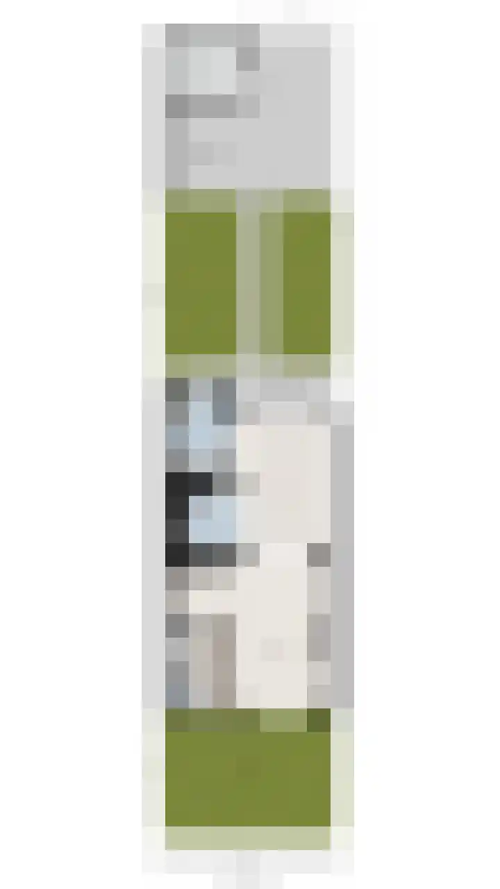 Schoolbosweg 11 Enschede thumbnail 33