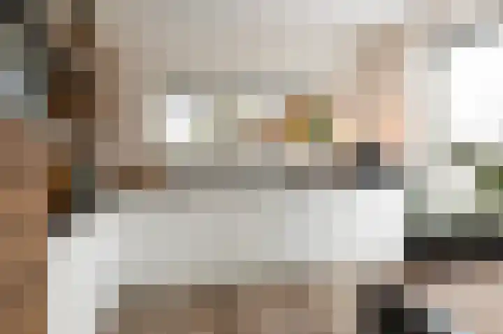 Schoolderserf 4 Bathmen thumbnail 10