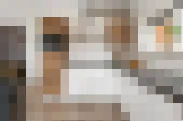 Schoolderserf 4 Bathmen thumbnail 11