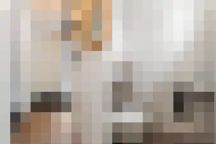 Schoolderserf 4 Bathmen thumbnail 13